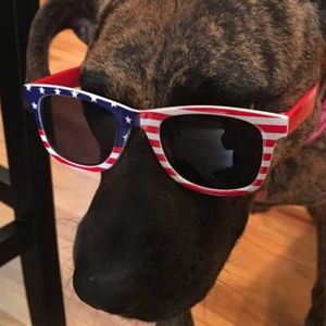 Meet your Posher, Betsy